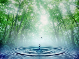 gallery/outorga de agua